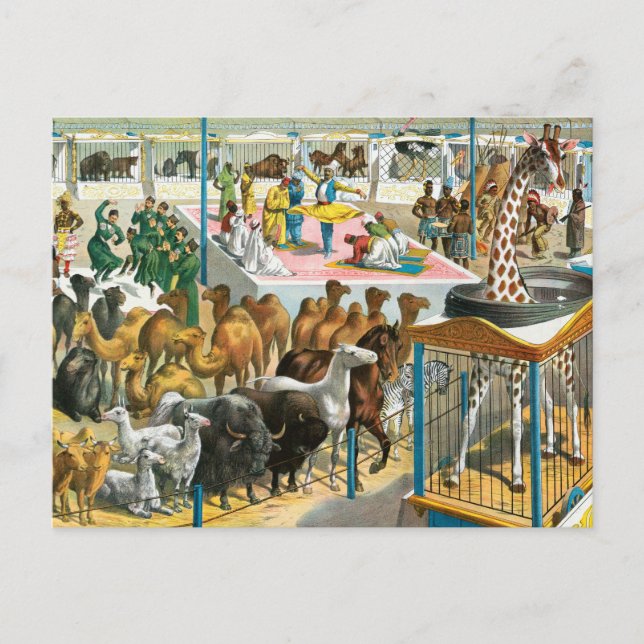 Circus Poster Of People Of Different Nationalities Postcard (Front)