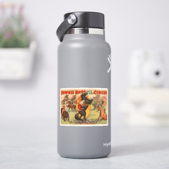 Circus Poster Showing Many Horses Doing Stunts. (HydroFlask)