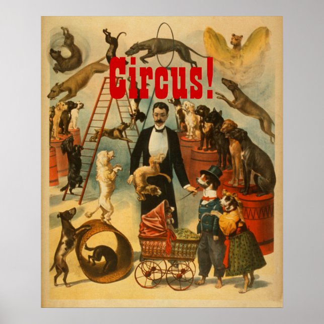 Circus! - Theatre Poster #1 (Front)