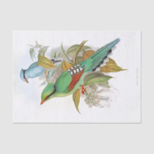 Cissa Venatoria Decoupage Tissue Paper
