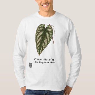 Cissus discolour T-Shirt