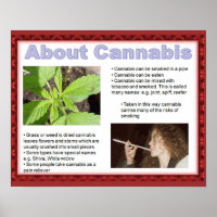 Citizenship, life skills just say No!