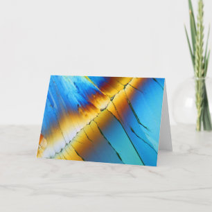 Citric acid under the microscope card