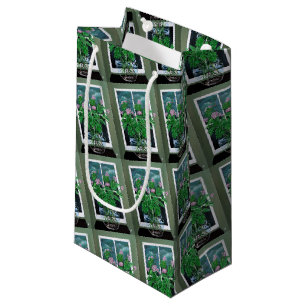 Citronella Dreams Painting by Alfred Fox Small Gift Bag