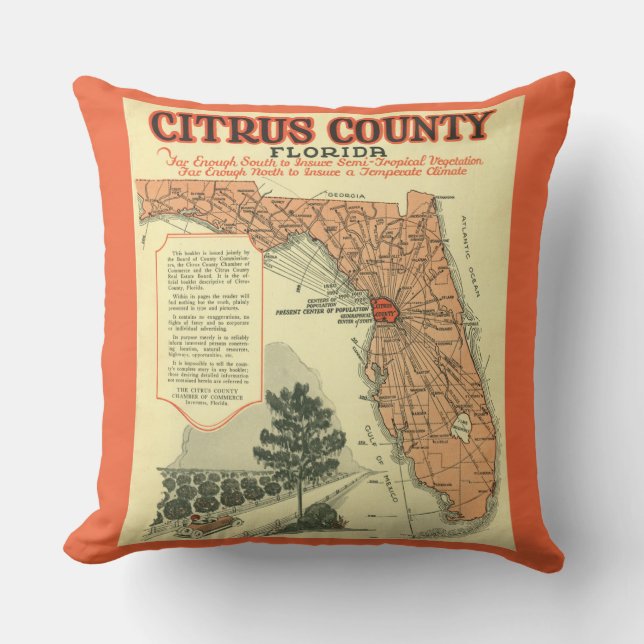 Citrus County Florida Vintage Map Cushion (Front)