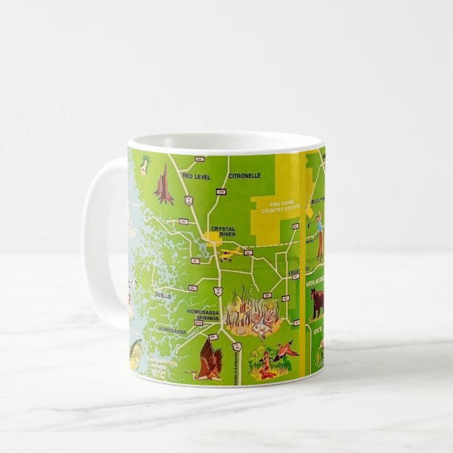 Citrus County Florida Vintage Map Mug (Front Left)