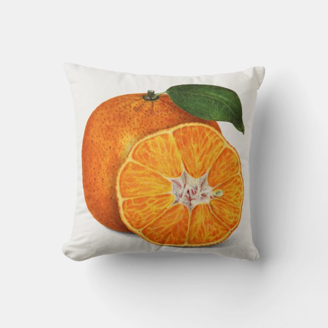 Citrus Cushion (Front)