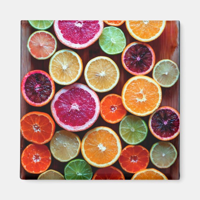 Citrus Dream Lemon Lime Orange Fruit Magnet (Front)
