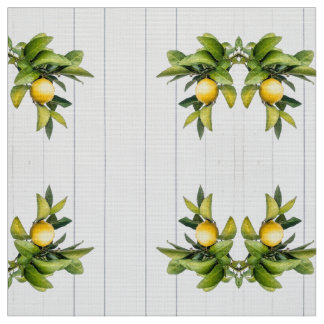 Citrus Fabric