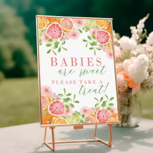 Citrus Fruit & Flowers Baby Shower Favours Sign