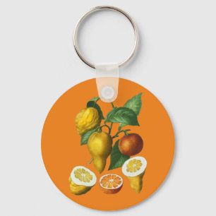 CITRUS FRUIT KEY RING