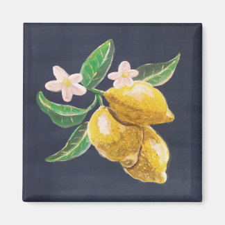 citrus fruit magnet