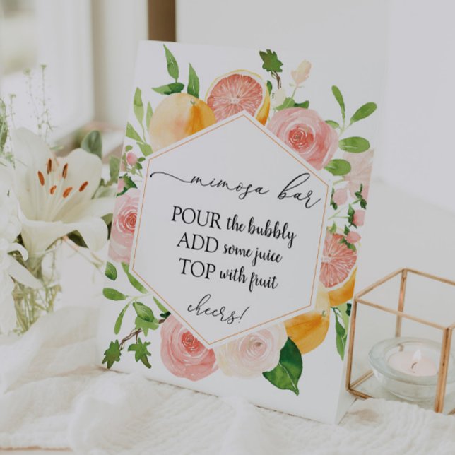 Citrus Fruit Mimosa Bar Sign  (Creator Uploaded)