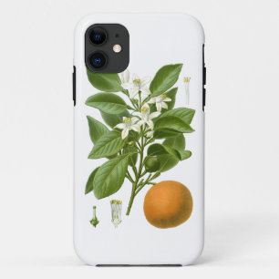 Citrus Fruit Orange Botanical no. 2 Home Decor Case-Mate iPhone Case