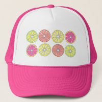 Citrus Fruit Slice Orange Lemon Lime Grapefruit