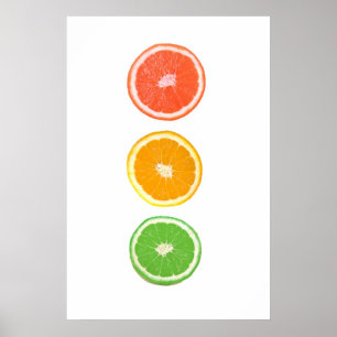 citrus fruit slice poster