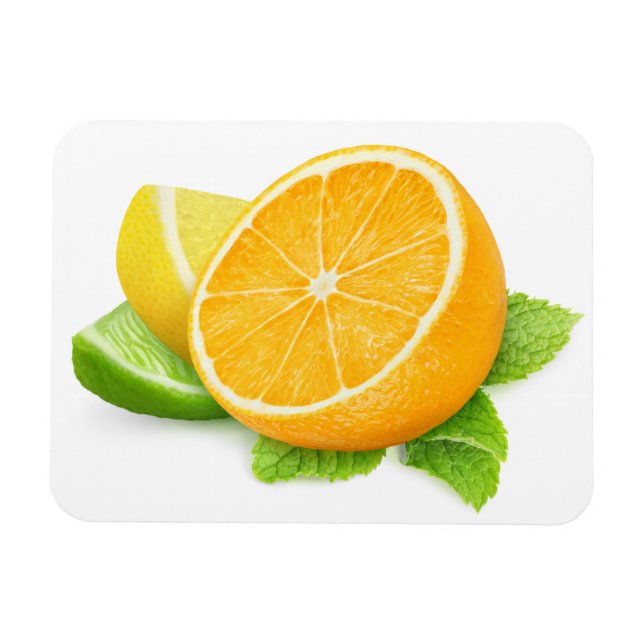 Citrus fruit slices magnet (Horizontal)