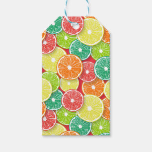 Citrus fruit slices pop art 2 gift tags