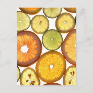 Citrus Fruit Slices Postcard