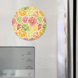 Citrus Fruits Lime Lemon Orange Grapefruit Magnet