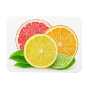 Citrus fruits magnet