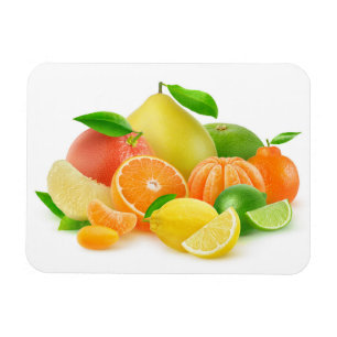 Citrus Fruits Magnet