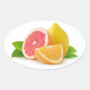Citrus fruits oval sticker