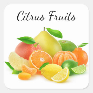 Citrus Fruits Square Sticker