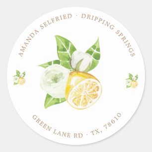 citrus lemon tree fruit Classic Round Sticker