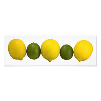 Citrus Row Photo Print