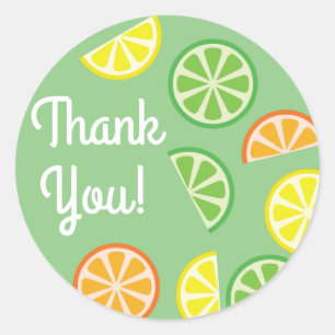 Citrus Slice Fruit 1st Birthday Thank You Classic Round Sticker