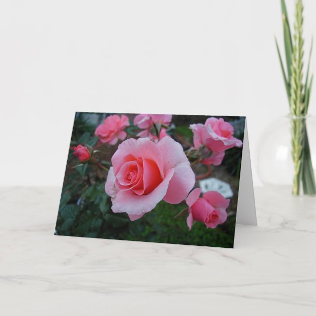 Citrus Tease Card (Front)