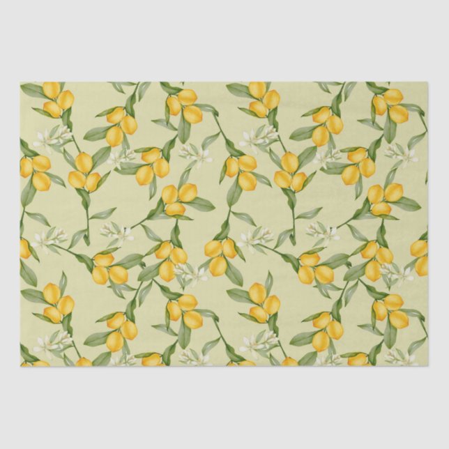 Citrus  tissue paper (Front)