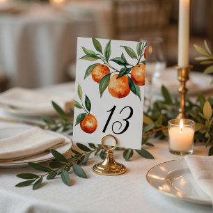 Citrus Wedding   Elegant Mediterranean Orange Table Number