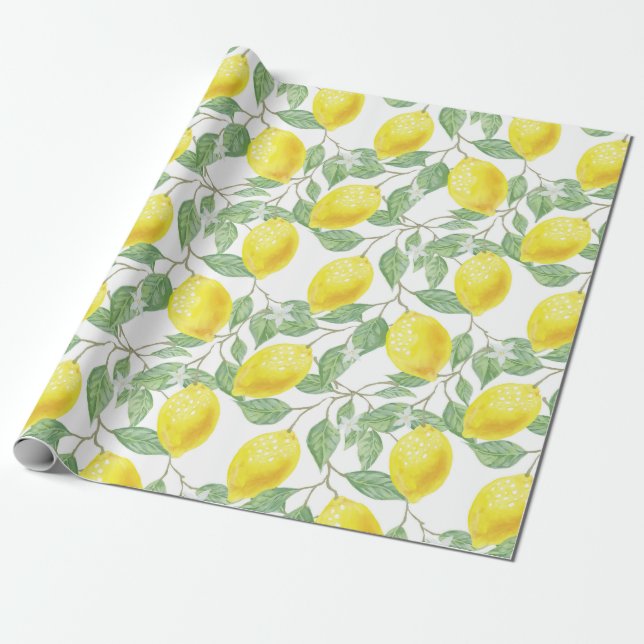 Citrus Wrapping Paper (Unrolled)