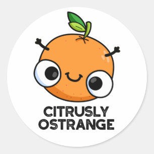 Citrusly Ostrange Funny Strange Orange Pun  Classic Round Sticker