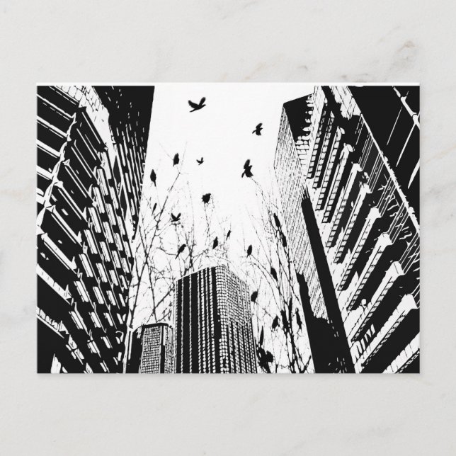 city birds postcard (Front)