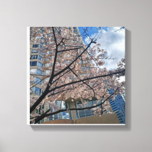 City Blossoms Canvas Print