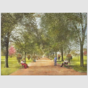 City - Chicago IL - A Walk in Lincoln Park 1900 Tissue Paper