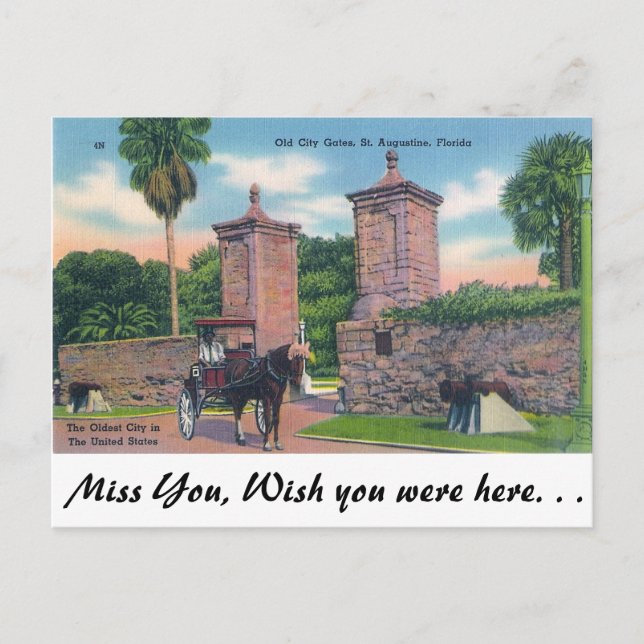 City Gates, St. Augustine Postcard (Front)