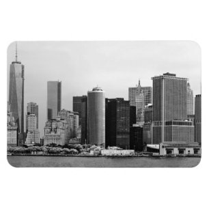 City - NY - The financial district - BW Magnet