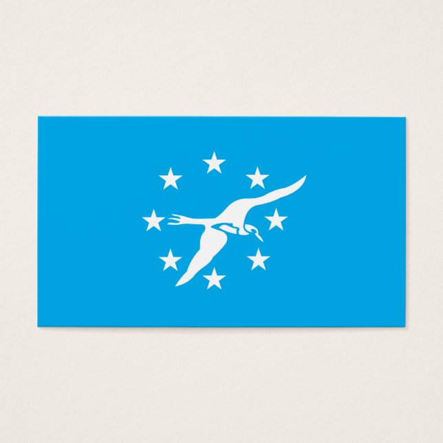 City of Corpus Christi flag (Front)