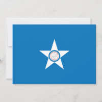 City of Houston flag
