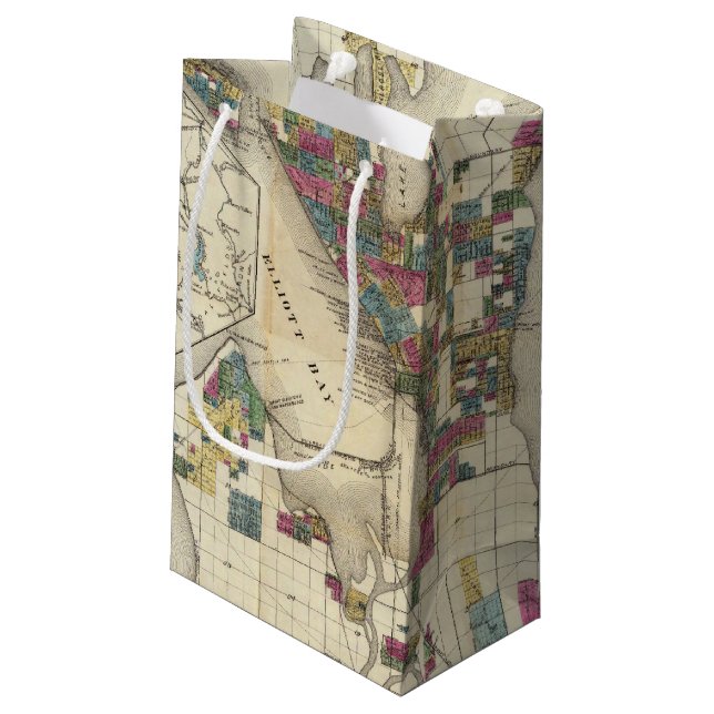 City Of Seattle And Environs Small Gift Bag (Back Angled)
