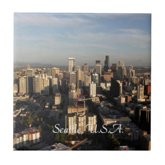 City of Seattle. View from city tower. Landscape Tile