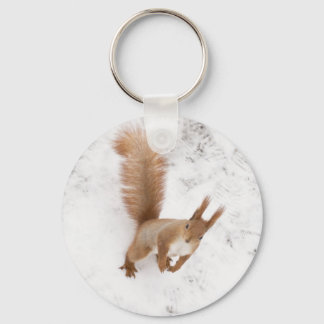 City Squirrel Key Ring