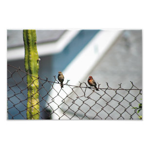 City Terrace Photo Print