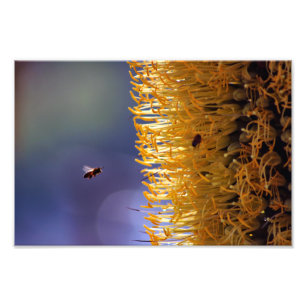 City Terrace Photo Print