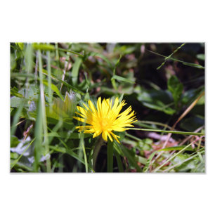 City Terrace Photo Print