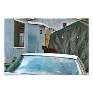 City Terrace Photo Print